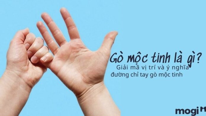 Gò mộc tinh là gì?