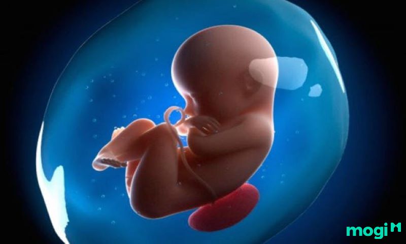 <strong>Xoáy Tóc Là Gì? Các Kiểu Xoáy Tóc Phổ Biến Và Ý Nghĩa Vận Mệnh Các Kiểu Xoáy Tóc</strong> 13 xoáy tóc