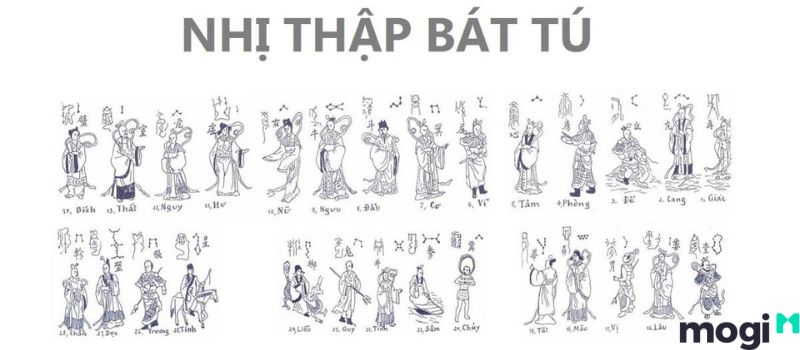 Chiêm tinh học là gì