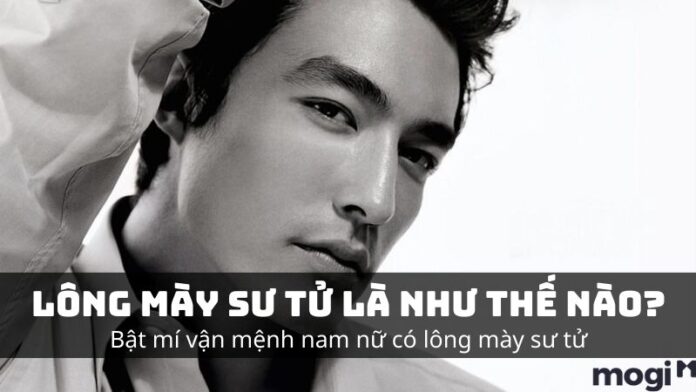 Lông mày sư tử là gì? Có tốt không?