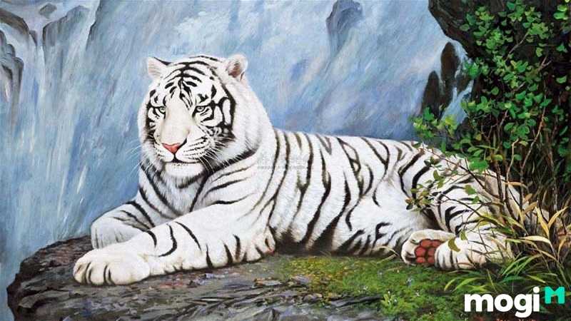 Về Phúc Thọ tai họa thì sao Bạch Hổ lại mang đến sự bất lợi cho cha mẹ và gia đình