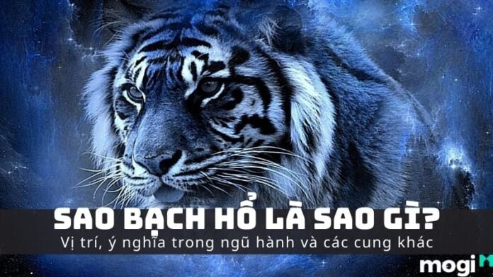 Sao Bạch Hổ
