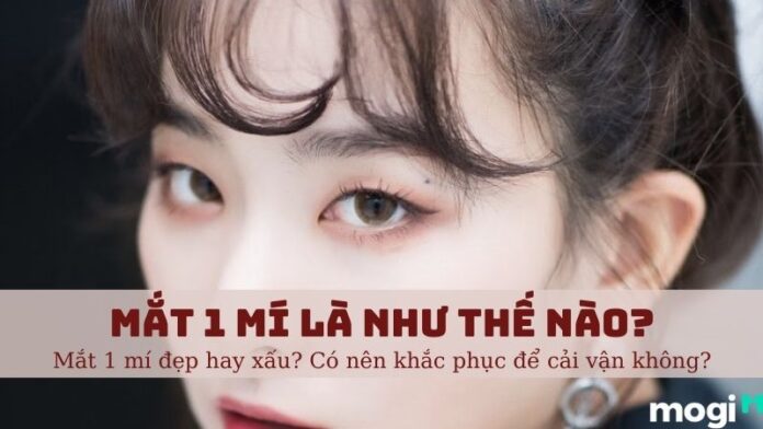Mắt 1 mí là gì