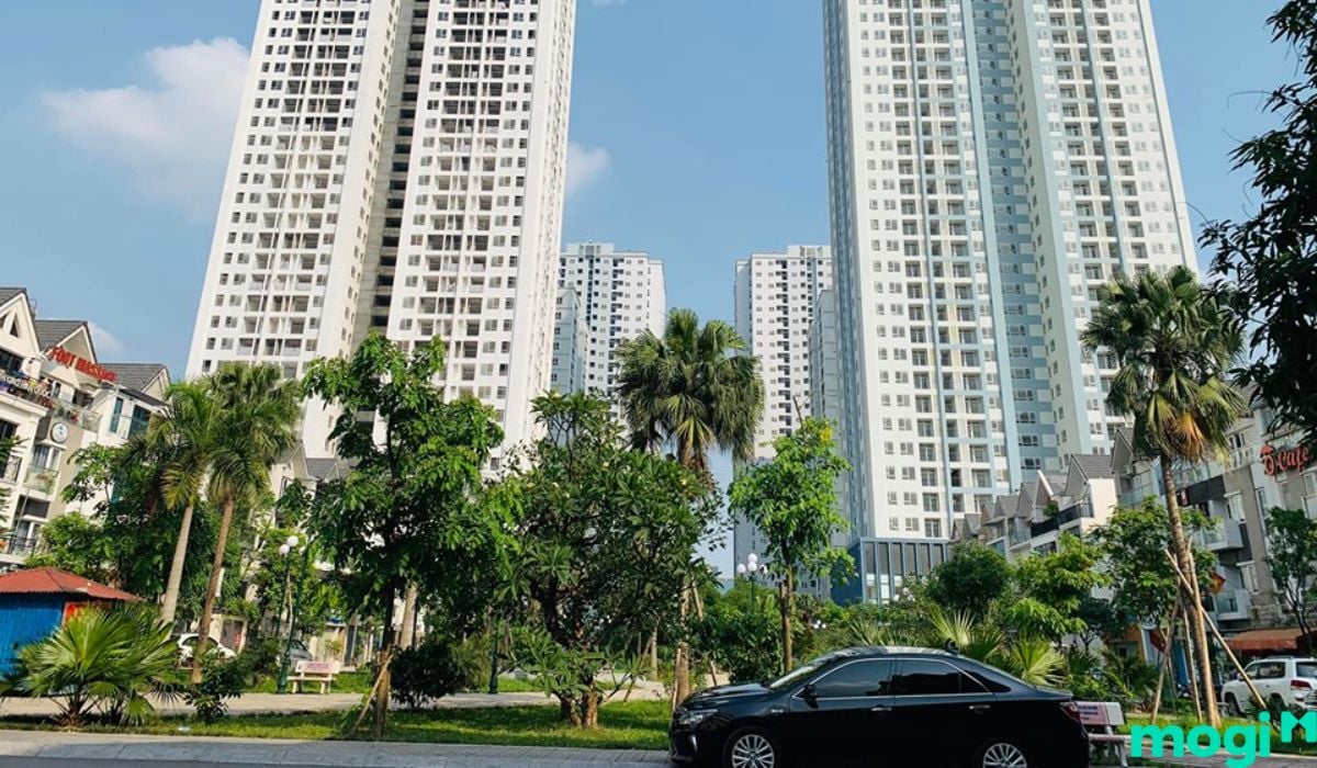 Cơ sở hạ tầng cầu giấy