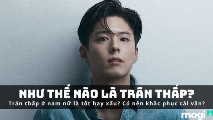 Luận Giải Ý Nghĩa Tướng Số Trán Thấp Ở Nam, Nữ Và Cách Khắc Phục 