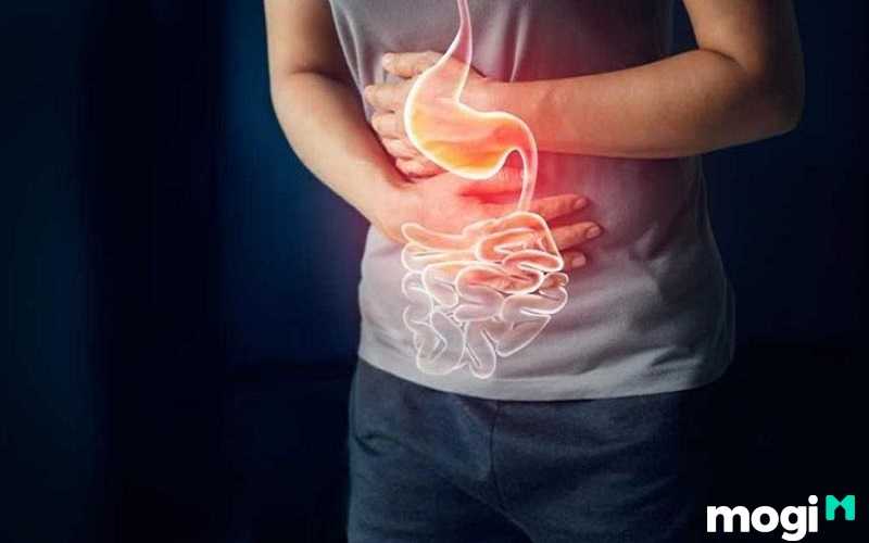 Sức khỏe thường dễ mắc những bệnh liên quan đến hệ tiêu hóa