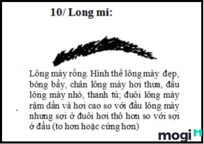 Thế nào là lông mày rồng?