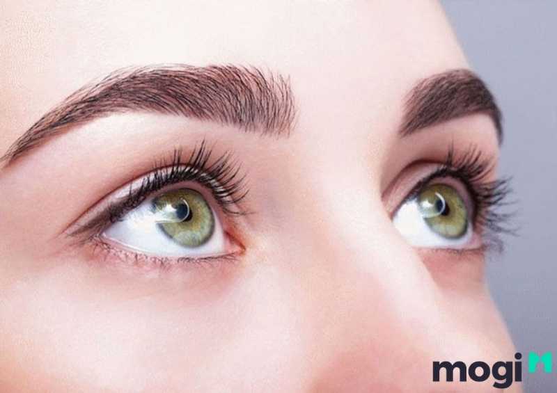 Độ dài đuôi lông mày rồng