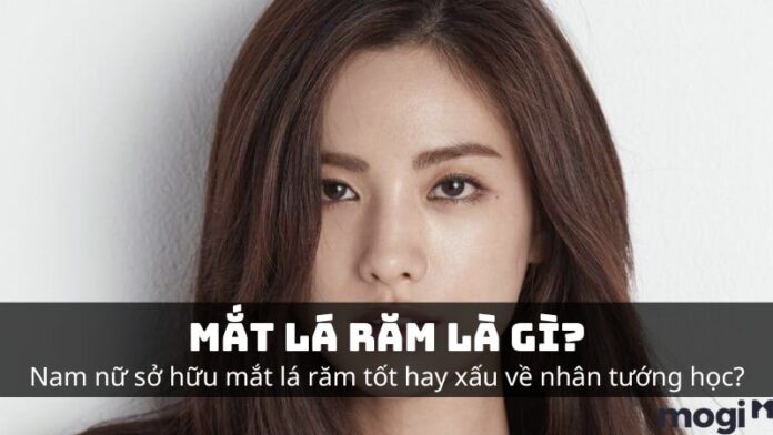 Mắt là răm là gì?