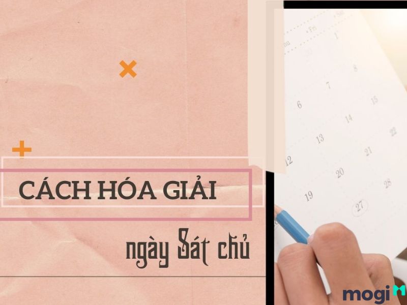 ngày sát chủ