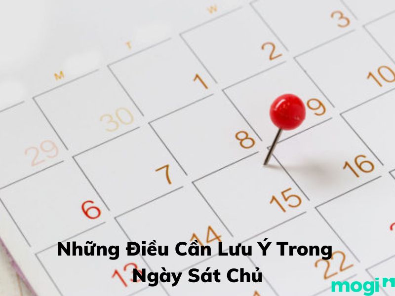 ngày sát chủ