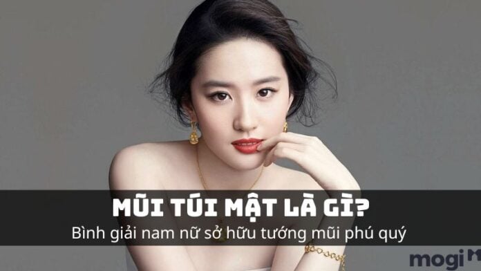 Mũi túi mật
