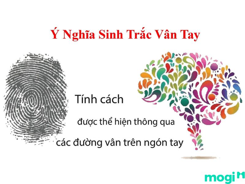 vân tay đại bàng