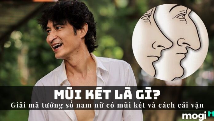 Mũi két là gì?