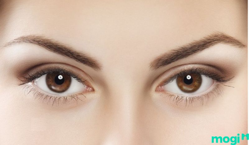 Mắt âm dương là gì - Nguyên nhân để có thể sở hữu âm dương nhãn