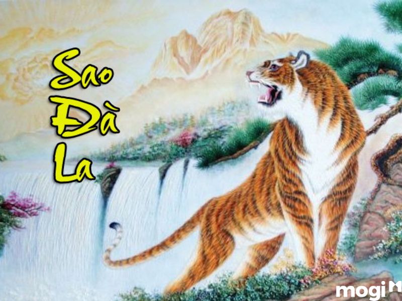 sao đà la