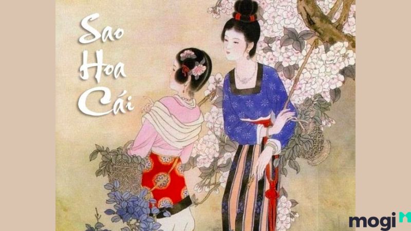 Sao Hoa Cái