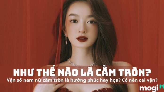 Cằm tròn