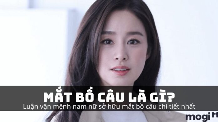 mắt bồ câu là gì