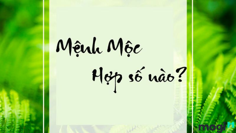 Cách đặt tên công ty theo Mb6688 đang hoakt động