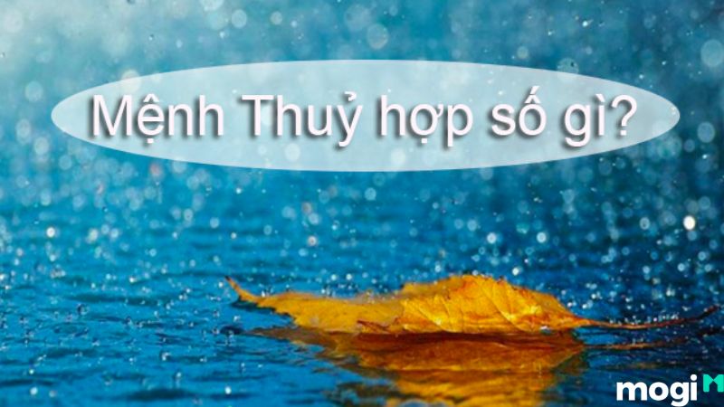Cách đặt tên công ty theo Mb6688 đang hoakt động