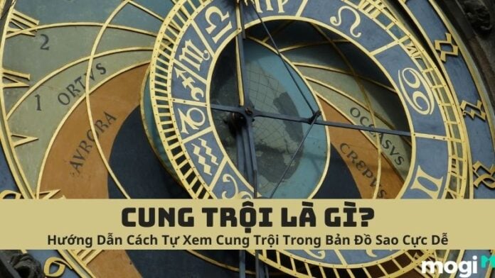 Tìm hiểu về cung trội là gì