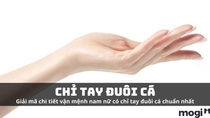 Giải Mã Đường Chỉ Tay Đuôi Cá Ở Nam Nữ Cực Chi Tiết Và Chuẩn Xác