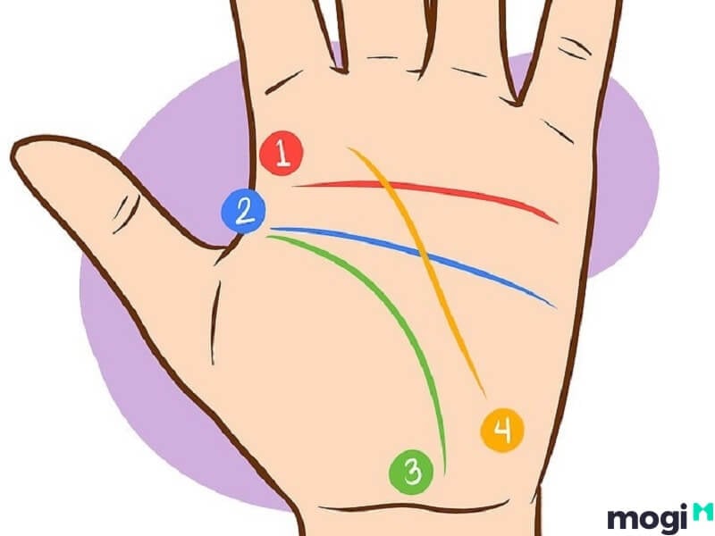 <strong>Giải Mã Đường Chỉ Tay Đuôi Cá Ở Nam Nữ Cực Chi Tiết Và Chuẩn Xác</strong> 5 Dấu hiệu của sự may mắn.