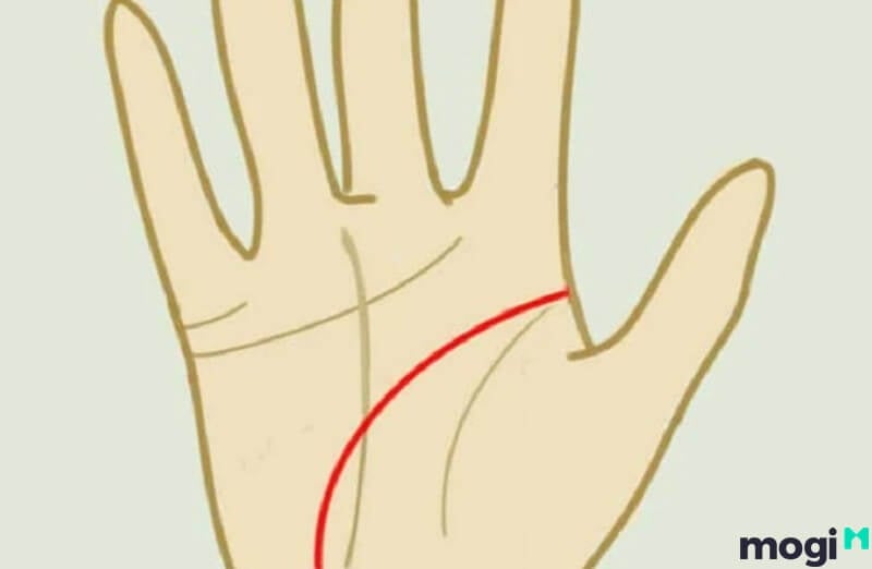 <strong>Giải Mã Đường Chỉ Tay Đuôi Cá Ở Nam Nữ Cực Chi Tiết Và Chuẩn Xác</strong> 7 Chỉ tay đuôi cá nằm ở đường trí đạo