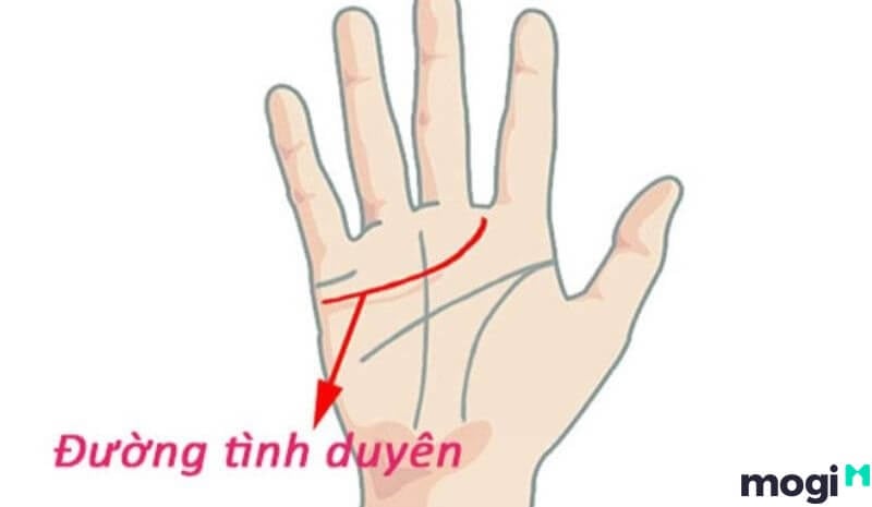 <strong>Giải Mã Đường Chỉ Tay Đuôi Cá Ở Nam Nữ Cực Chi Tiết Và Chuẩn Xác</strong> 9 Chỉ tay đuôi cá nằm ở đường tình duyên