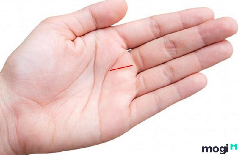 <strong>Giải Mã Đường Chỉ Tay Đuôi Cá Ở Nam Nữ Cực Chi Tiết Và Chuẩn Xác</strong> 11 Chỉ tay đuôi cá nằm trên gò Thổ Tinh