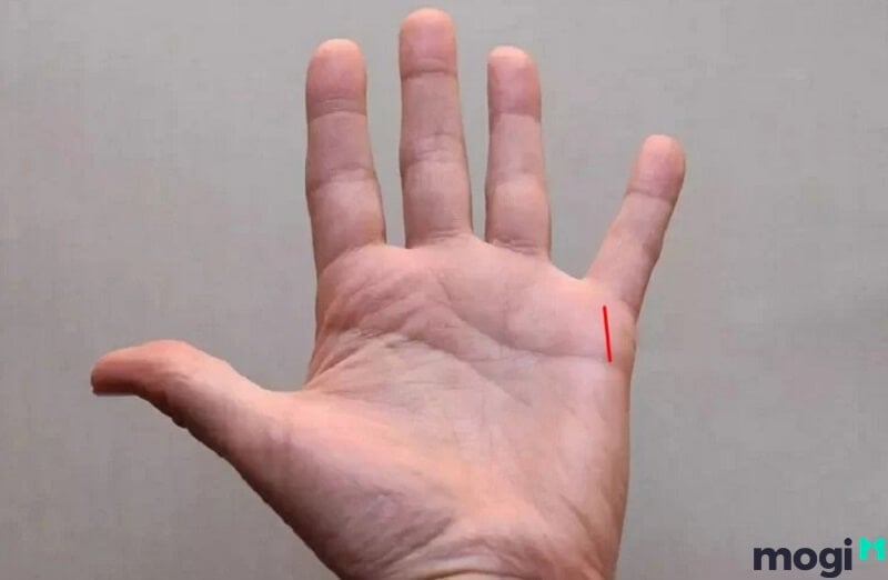 <strong>Giải Mã Đường Chỉ Tay Đuôi Cá Ở Nam Nữ Cực Chi Tiết Và Chuẩn Xác</strong> 13 Chỉ tay đuôi cá nằm trên gò Thủy Tinh
