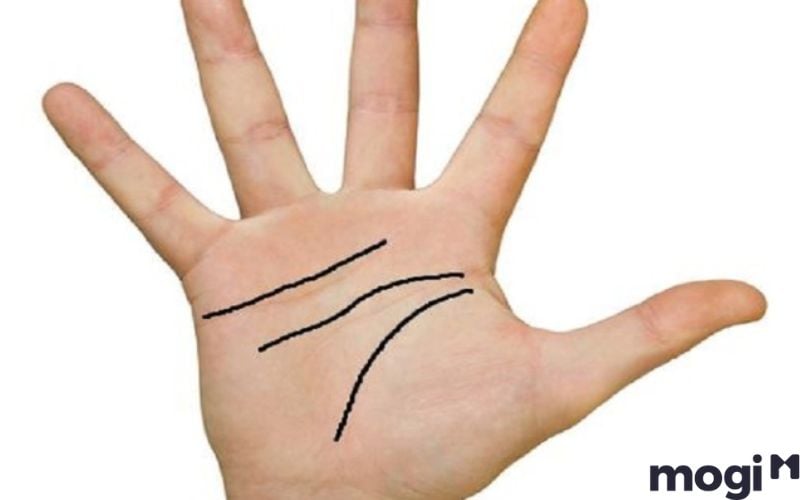 Đường chỉ tay chữ Xuyên