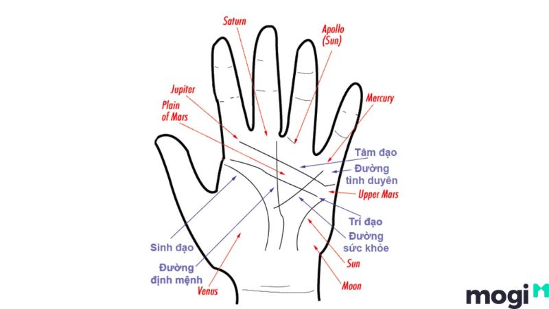 Tướng mặt đàn ông đểu