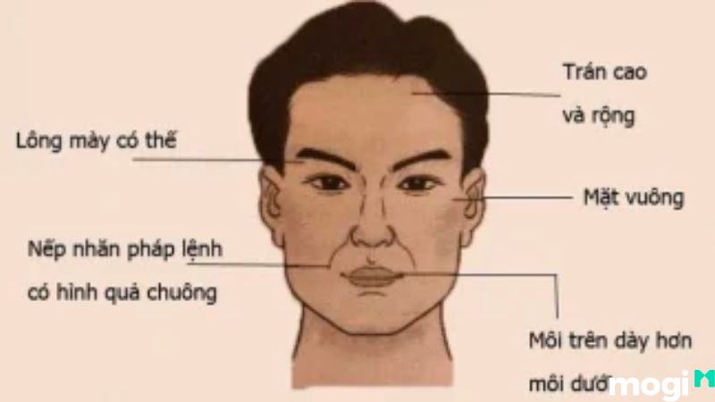 Tướng mặt đàn ông đểu