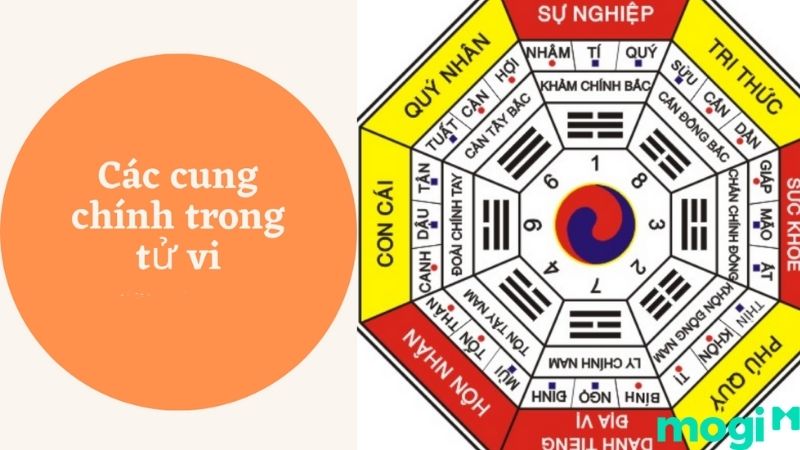 sao tử phù