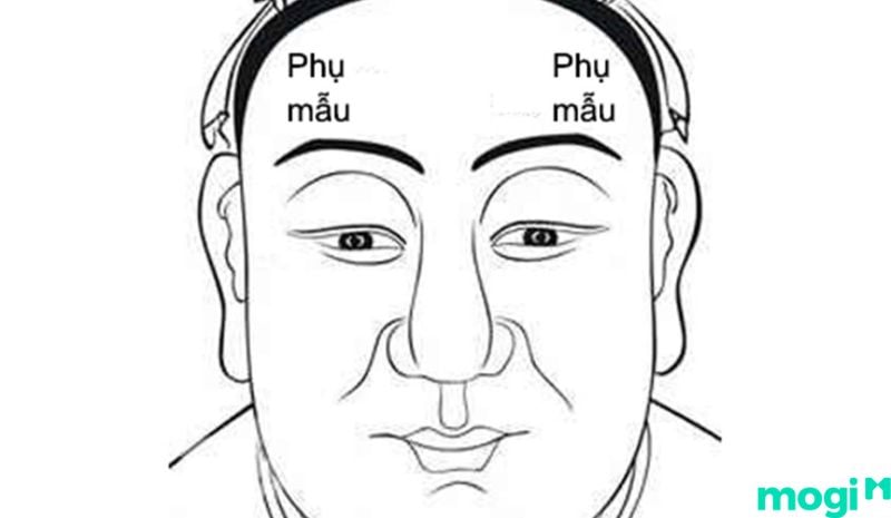 Sao tam Thai ở vị trí cung Phụ Mẫu