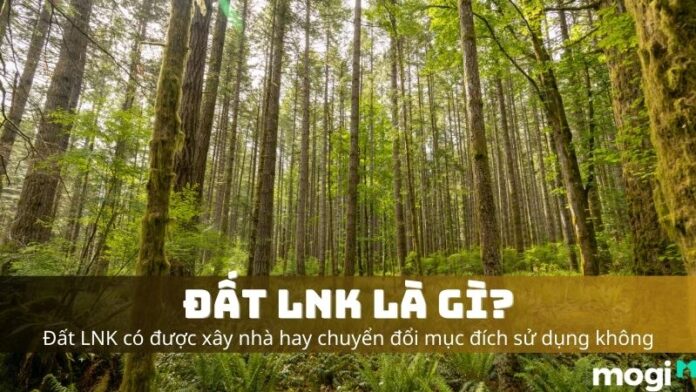 đất LNK là gì