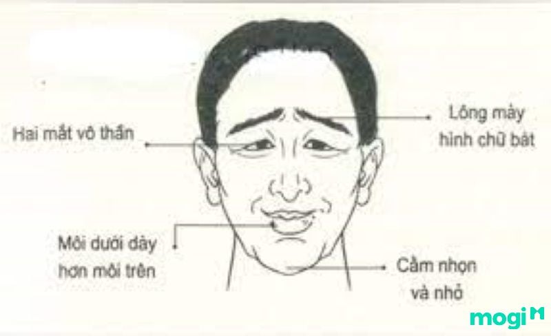 lông mày chữ bát