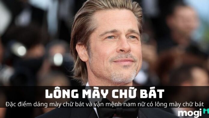 lông mày chữ bát