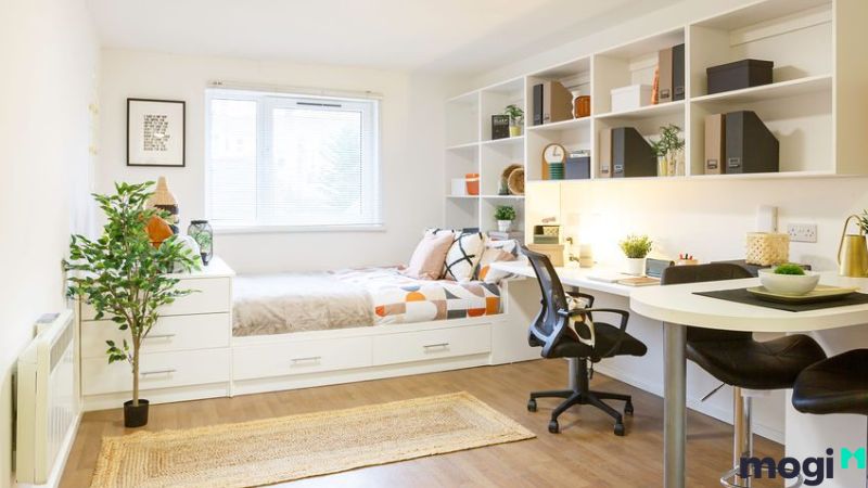 Mẫu decor phòng trọ không gác 3