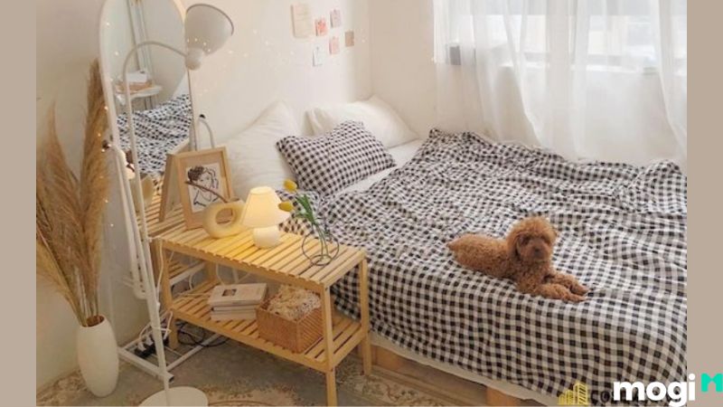 Mẫu decor phòng trọ không gác 5