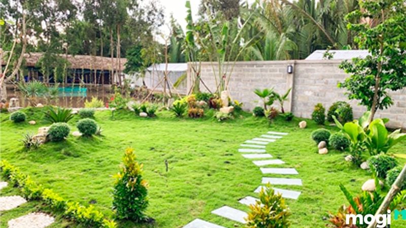 Trồng cỏ sân vườn