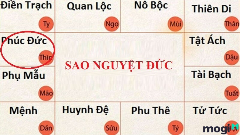 ở cung Phúc Đức