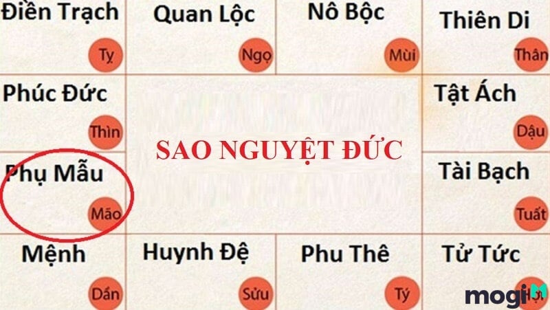 Sao Nguyệt Đức ở cung Phụ Mẫu