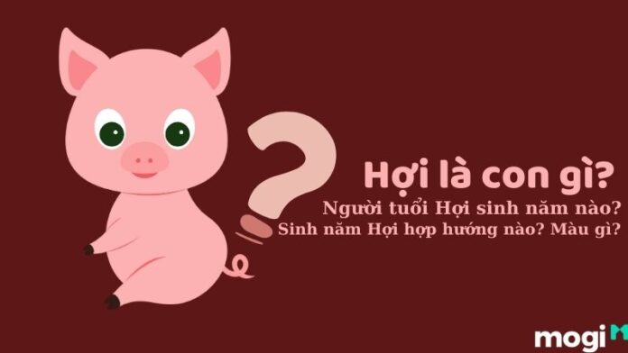 Hợi là con gì