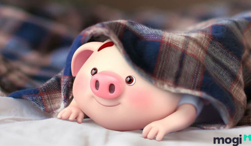 Hợi là con gì -  Mệnh của người tuổi Hợi