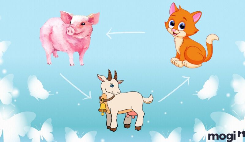 Hợi là con gì - Tam hợp đối với người tuổi Hợi