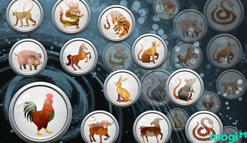 Hợi là con gì - Luận giải về tứ hành xung của người tuổi Hợi