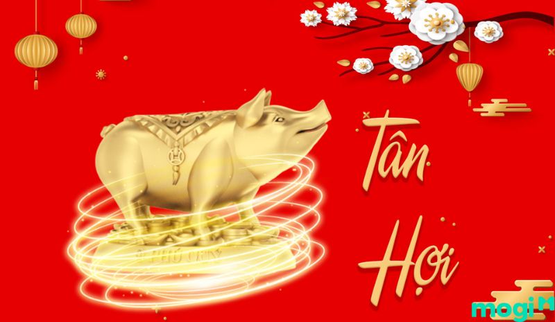 Hợi là con gì - Tuổi Tâb Hợi 1971